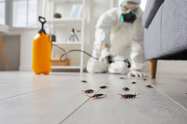Commercial Kitchen Cockroach Control in Rockville Centre